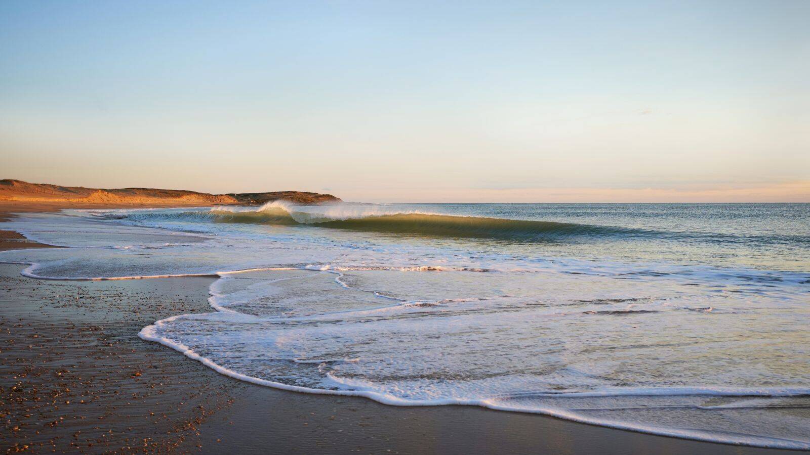 plage-dunes